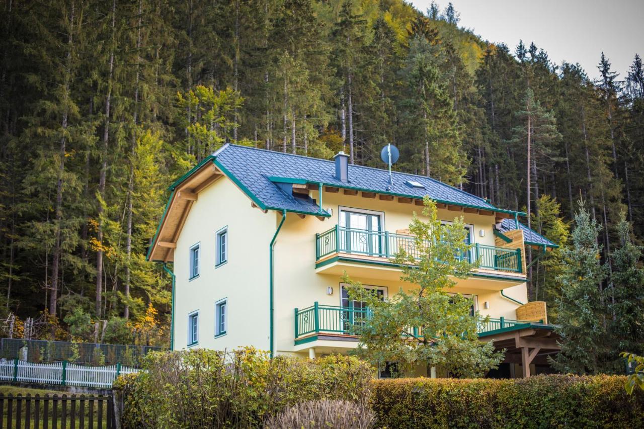 Appartement Hess Hinterstoder Zewnętrze zdjęcie